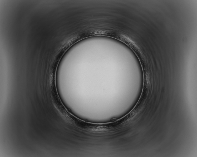 X0000083000451200703020908