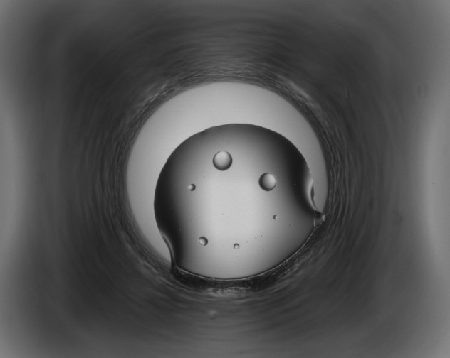 X0000083000452200703020908