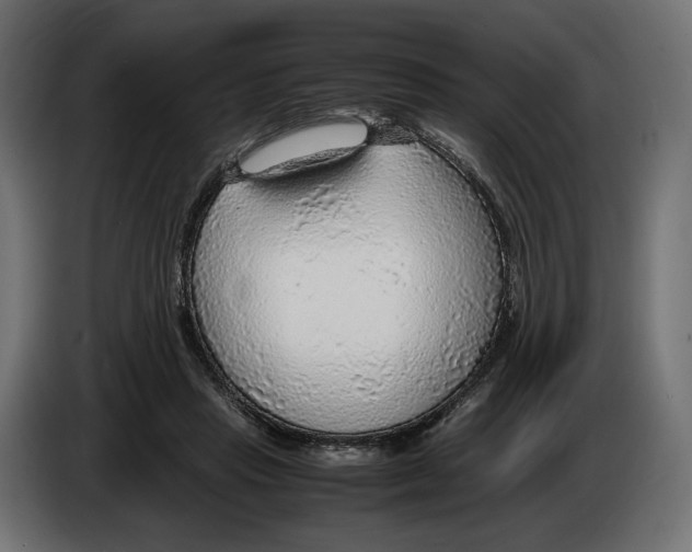 X0000083000453200703020908