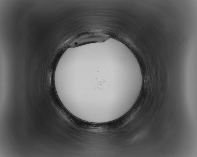 X0000083000454200703020908