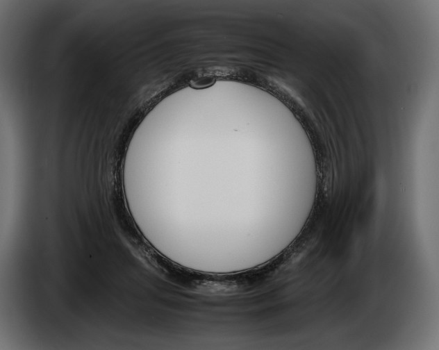 X0000083000455200703020908