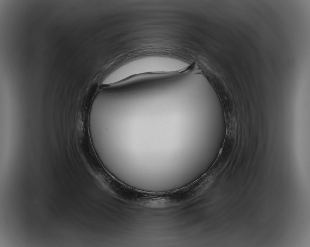 X0000083000456200703020908