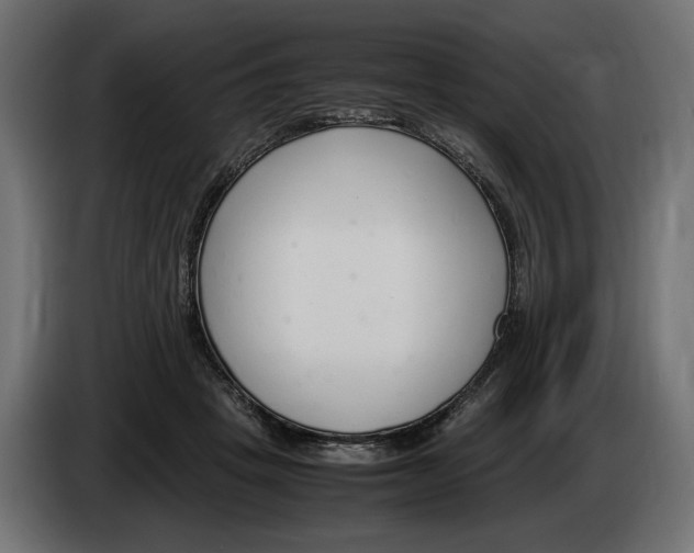 X0000083000457200703020908