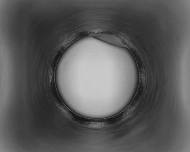 X0000083000458200703020908