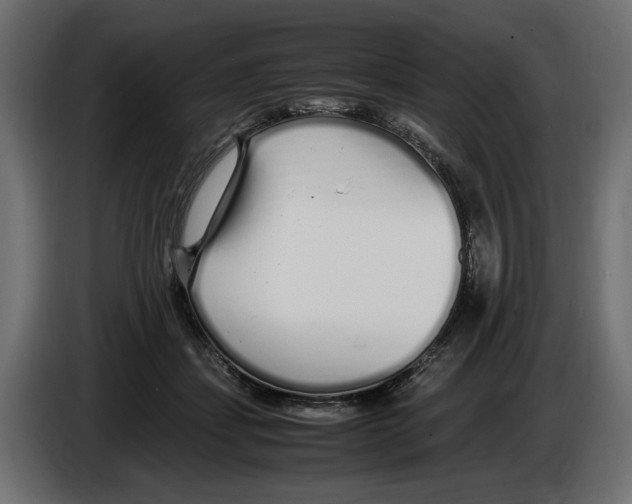 X0000083000459200703020908