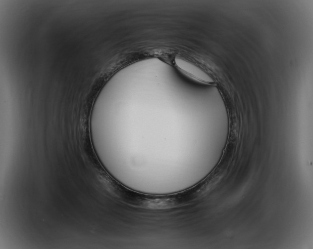 X0000083000461200703020908