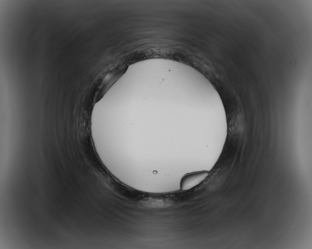 X0000083000464200703020908