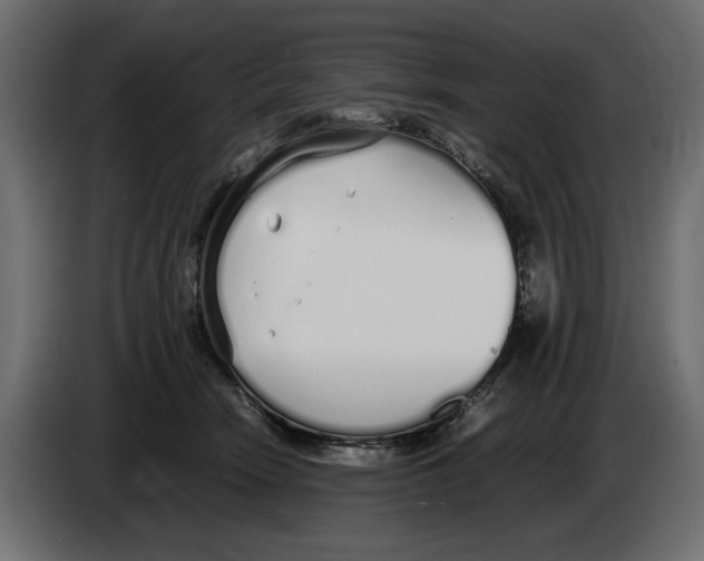 X0000083000466200703020908