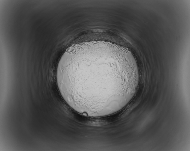 X0000083000467200703020908