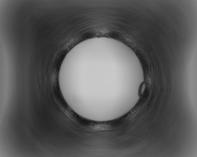 X0000083000468200703020908