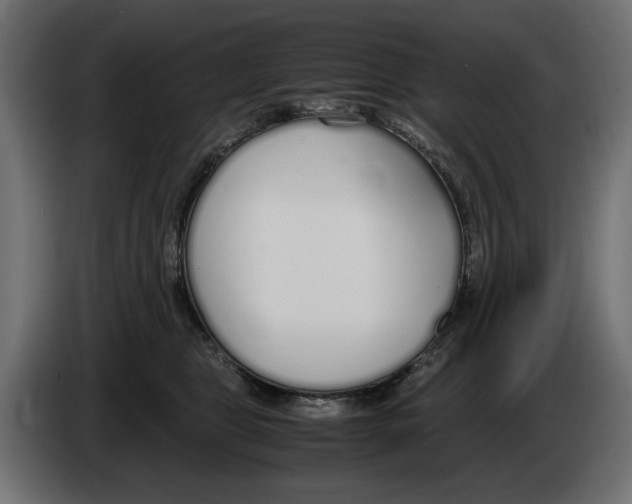 X0000083000469200703020908