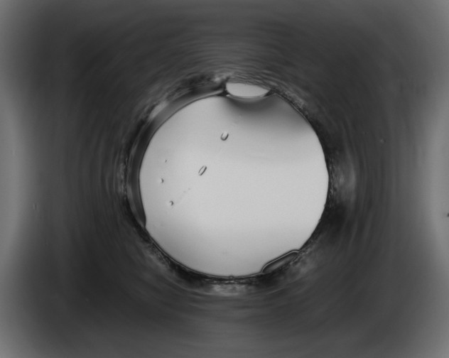 X0000083000470200703020908