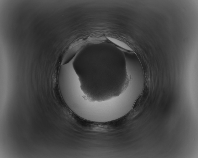 X0000083000471200703020908