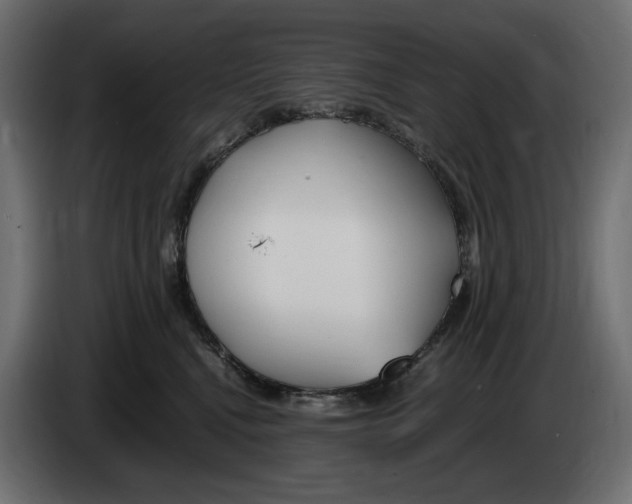 X0000083000472200703020908