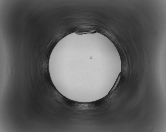 X0000083000473200703020908