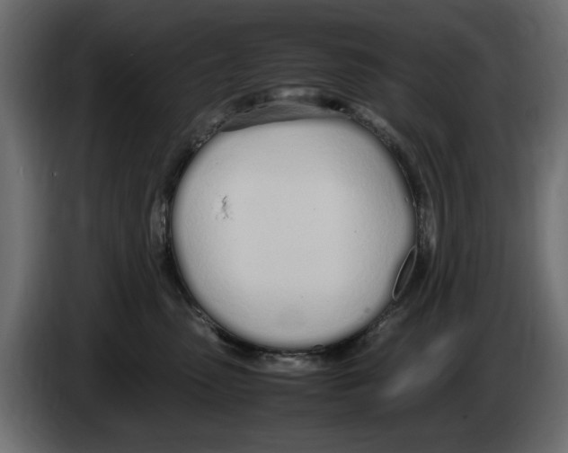 X0000083000475200703020908