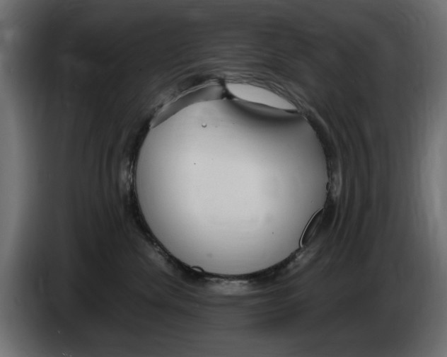 X0000083000476200703020908