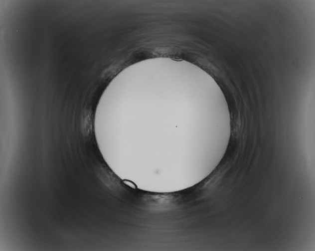 X0000083000478200703020908