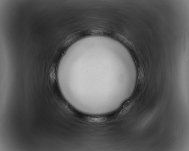 X0000083000479200703020908