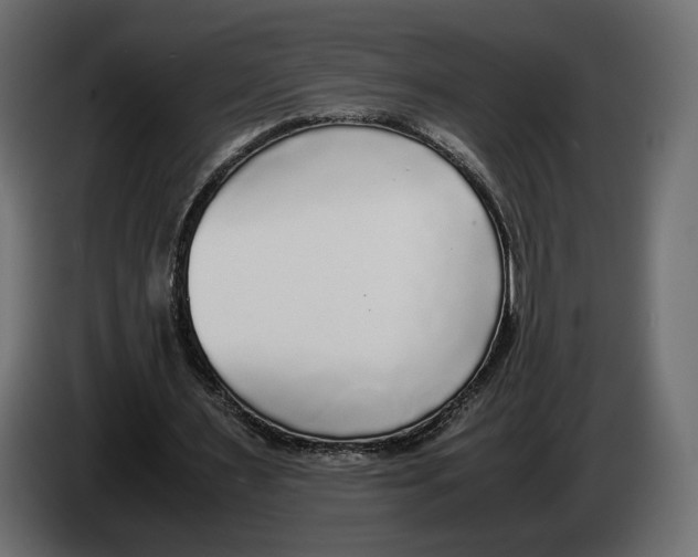 X0000083000483200703020907