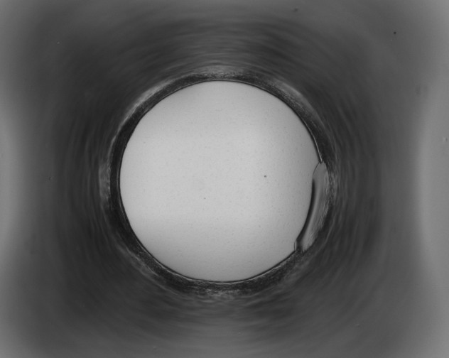 X0000083000484200703020907