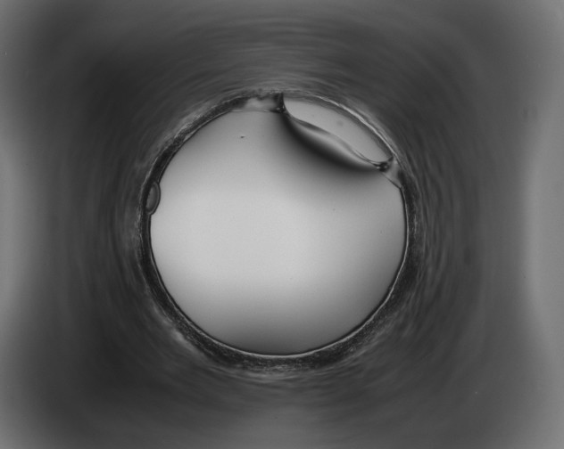 X0000083000485200703020907