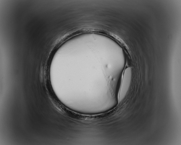 X0000083000487200703020907