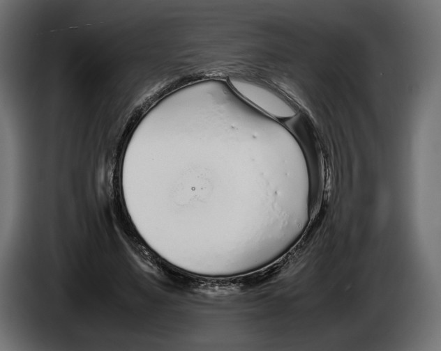 X0000083000491200703020907