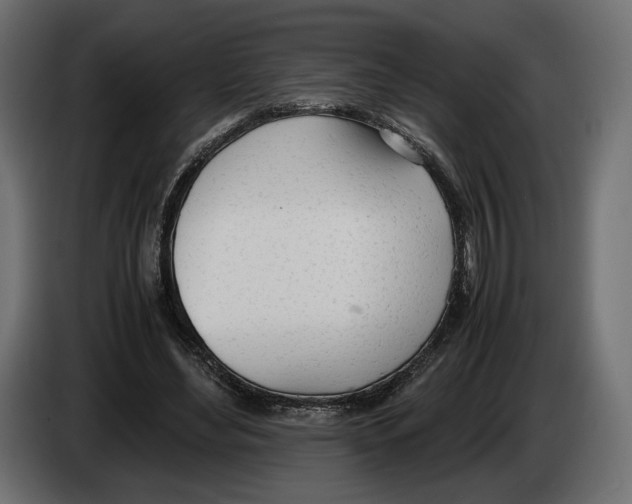 X0000083000492200703020907