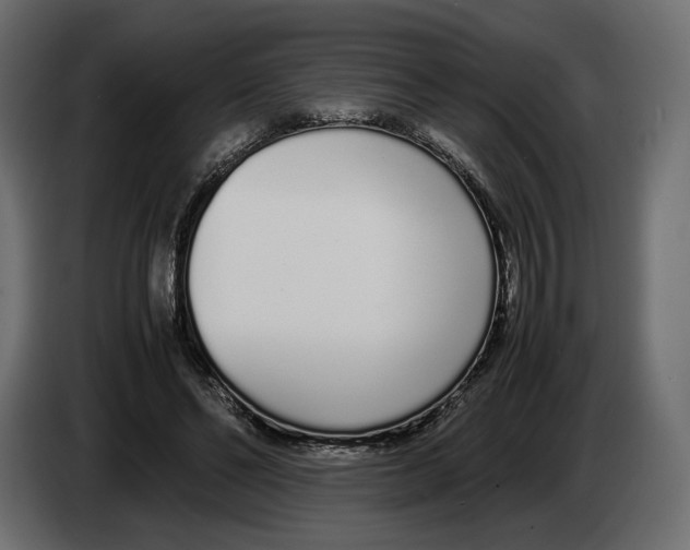 X0000083000494200703020907