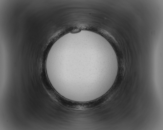 X0000083000496200703020907