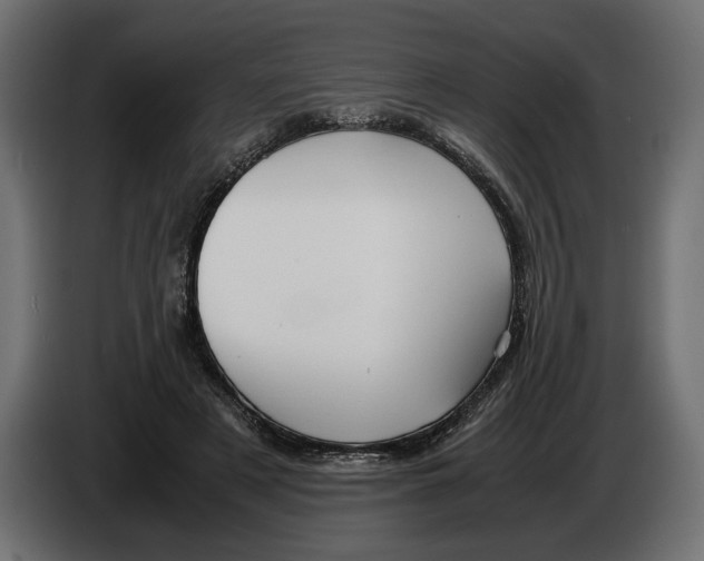 X0000083000497200703020907