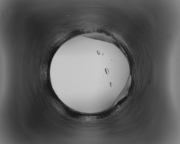 X0000083000501200703020907