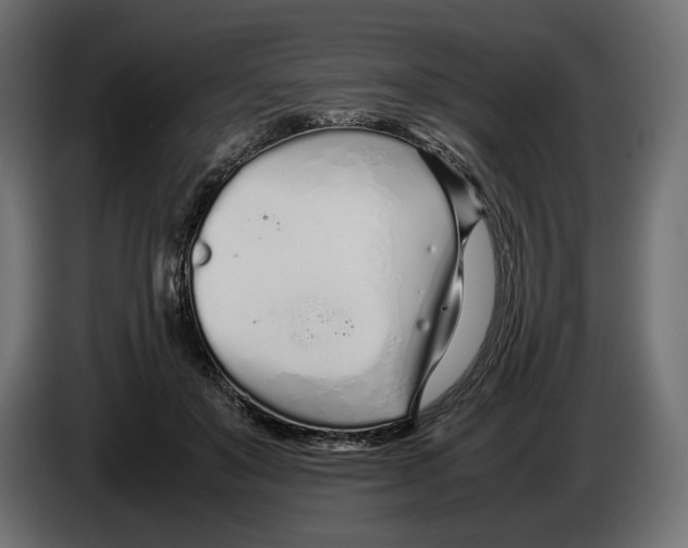 X0000083000503200703020907