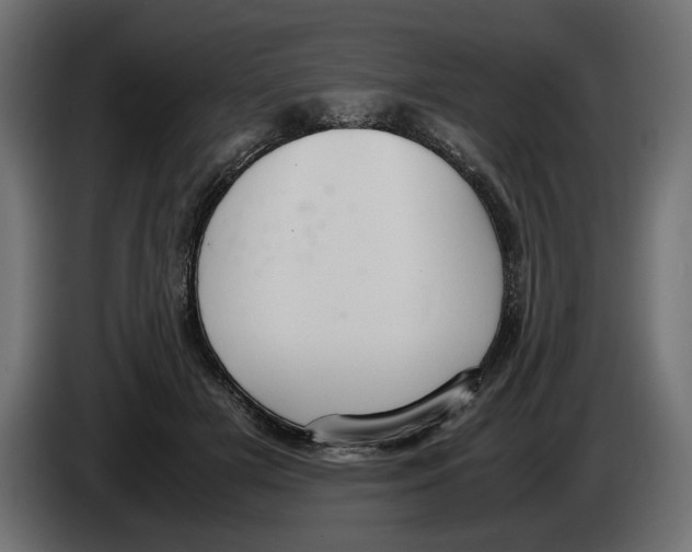 X0000083000505200703020907