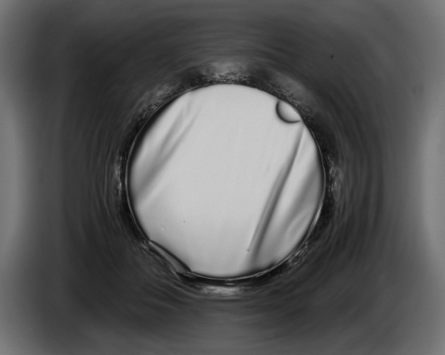 X0000083000506200703020907