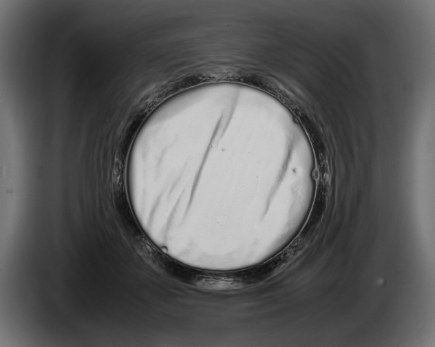 X0000083000507200703020907