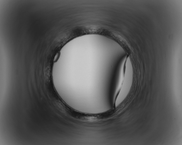 X0000083000509200703020907