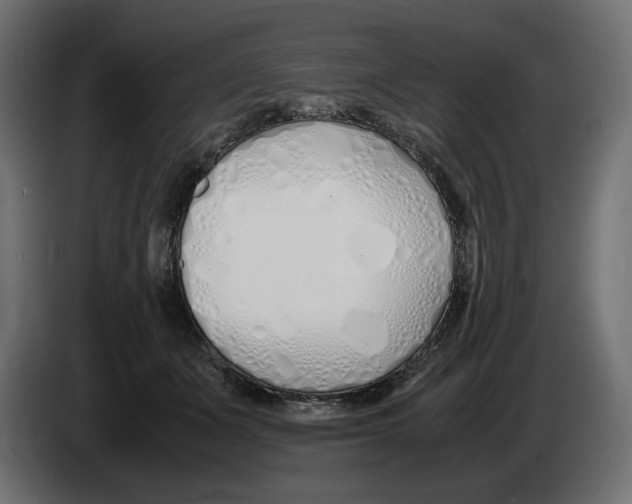 X0000083000511200703020907