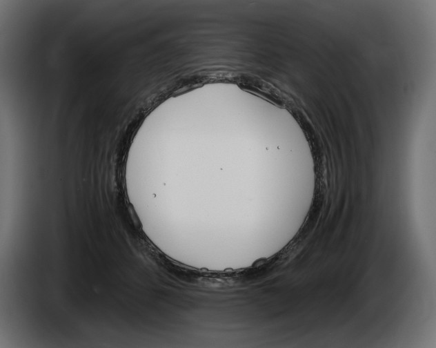 X0000083000512200703020907