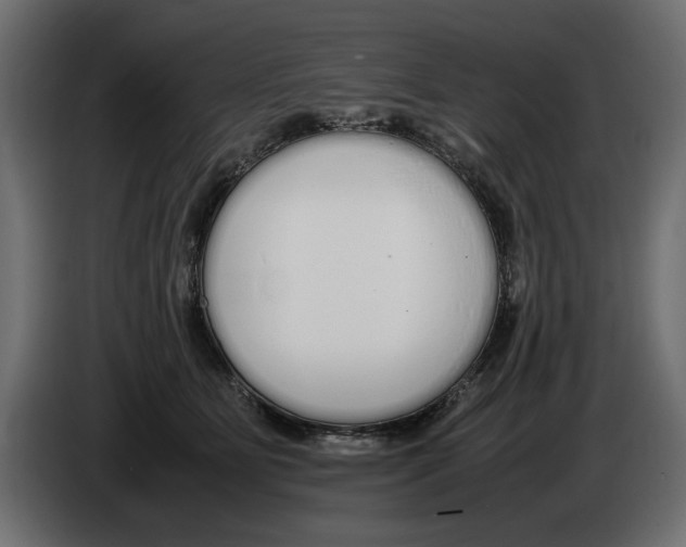 X0000083000515200703020907