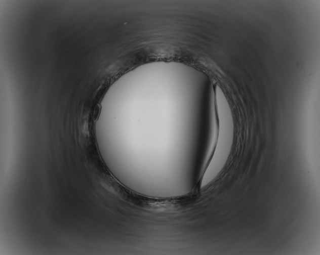 X0000083000516200703020907