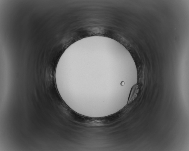 X0000083000518200703020907