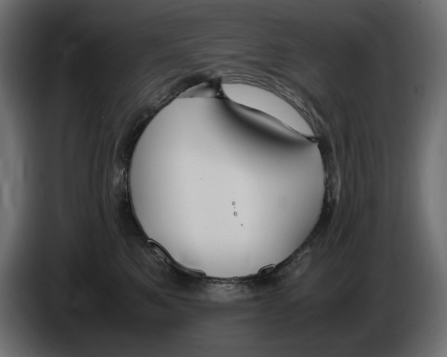 X0000083000521200703020907