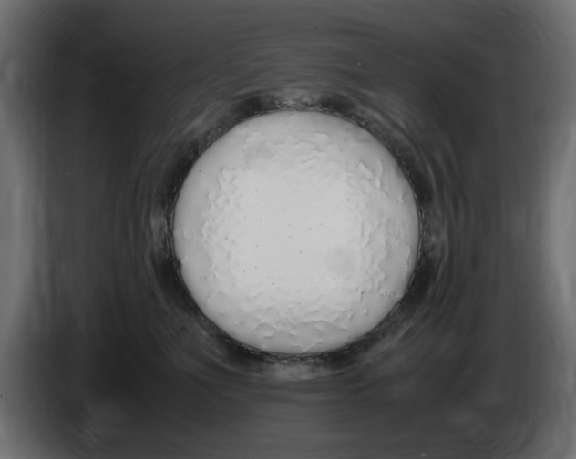 X0000083000523200703020907