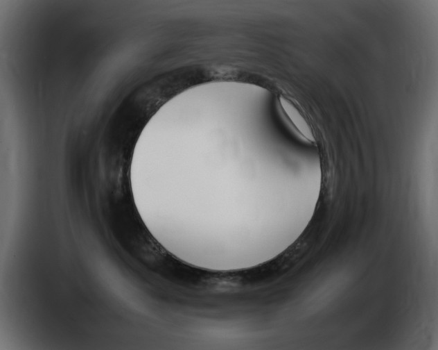 X0000083000525200703020907