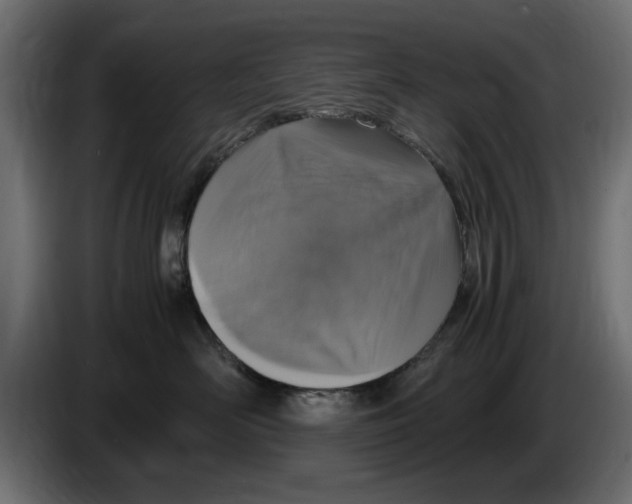 X0000083000526200703020907