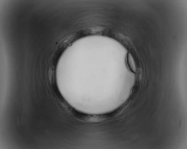 X0000083000527200703020907