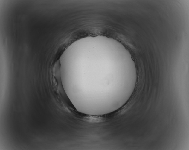 X0000083000528200703020907