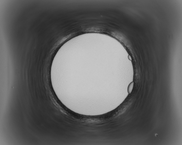 X0000083000529200703020906